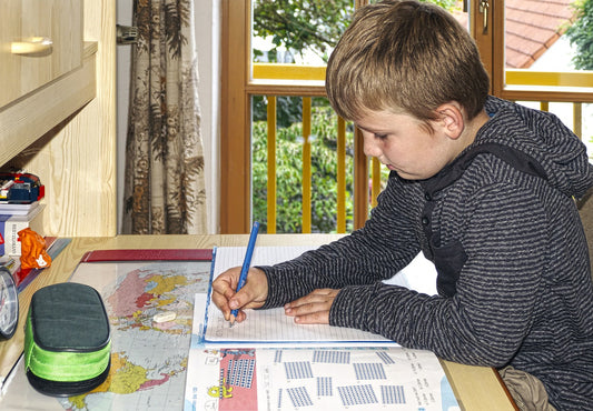 Homeschooling in Ontario in 2025: A Legal Guide